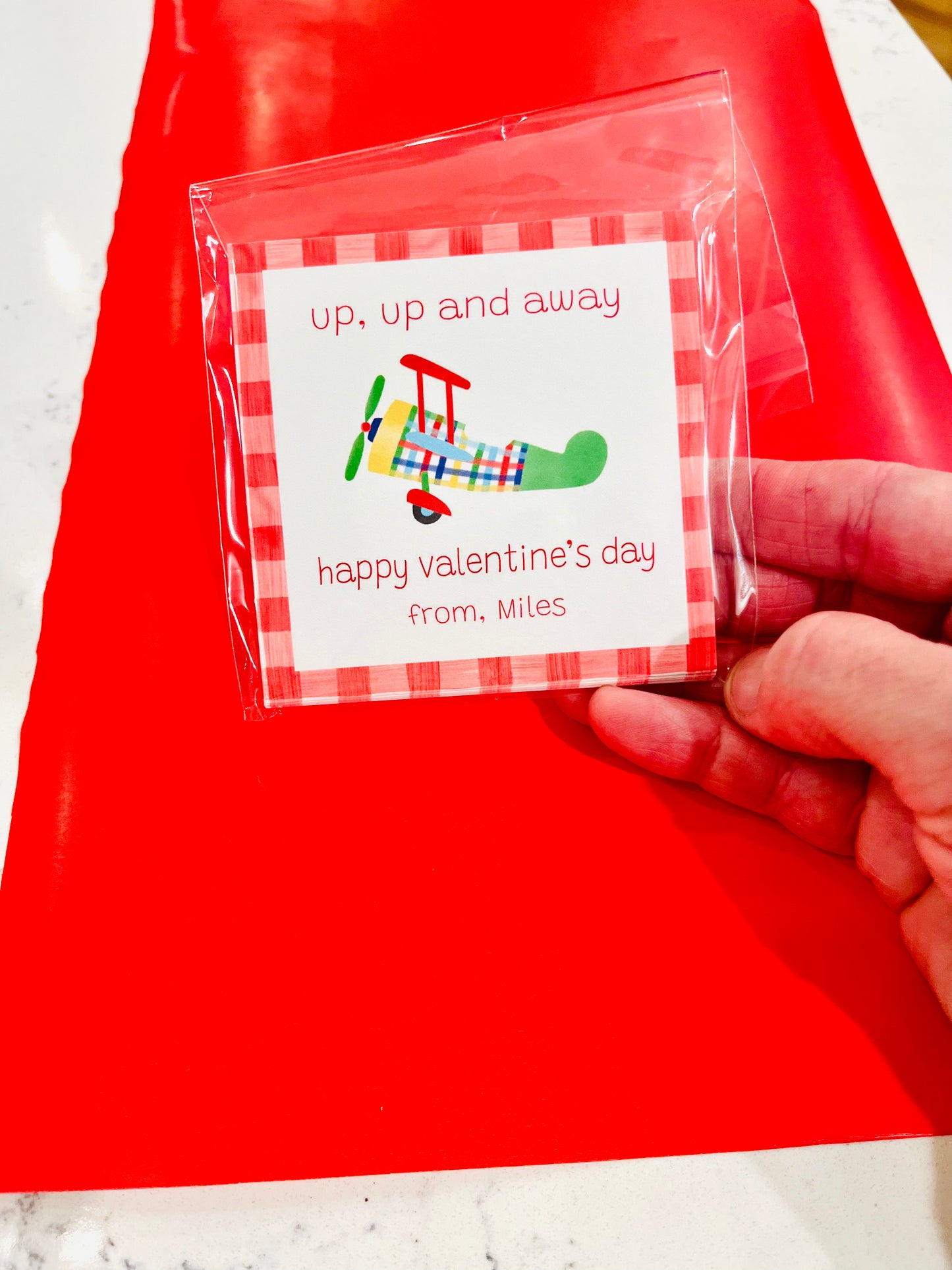 Valentine Tags & Stickers - Airplane