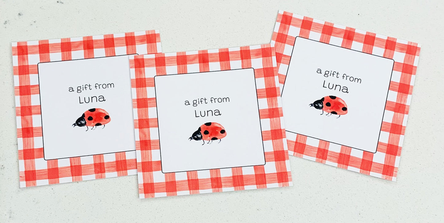 Enclosure Cards, Ladybug